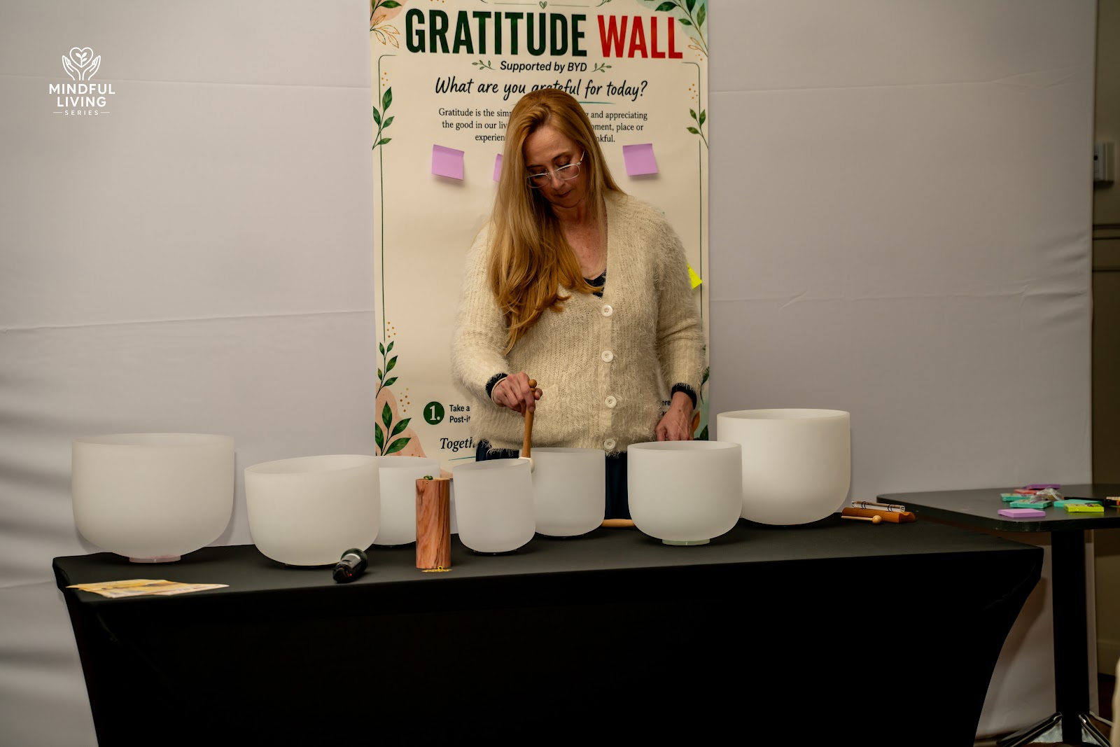 Mindful Living Series