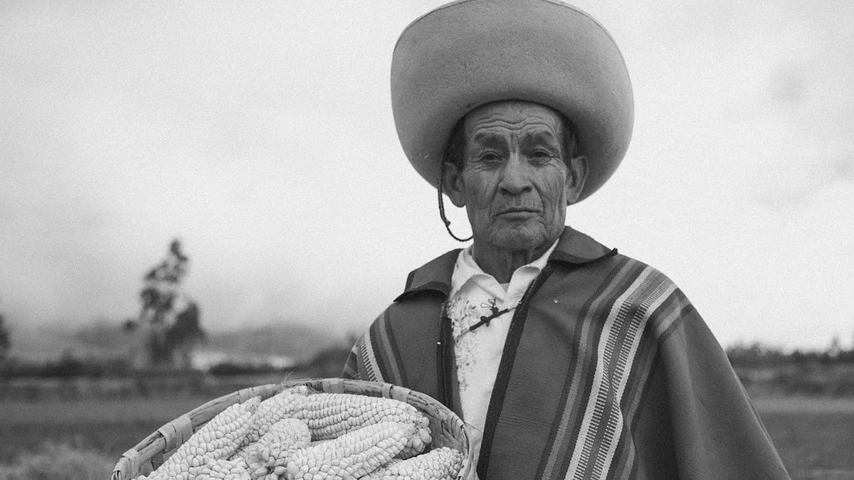 종교 의식의 기원과 인류학적 의미, 의례가 문화에 미치는 영향