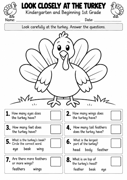 Turkey Observation Worksheet