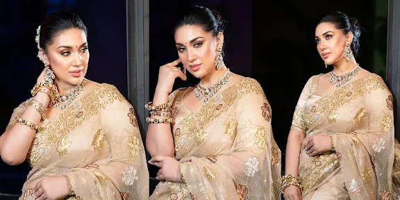 সোনালি সাজে আত্মবিশ্বাসী অপু বিশ্বাস: "আমিই সব সাফল্যের মূলে", ক্যাপশনে মুগ্ধ নেট দুনিয়া