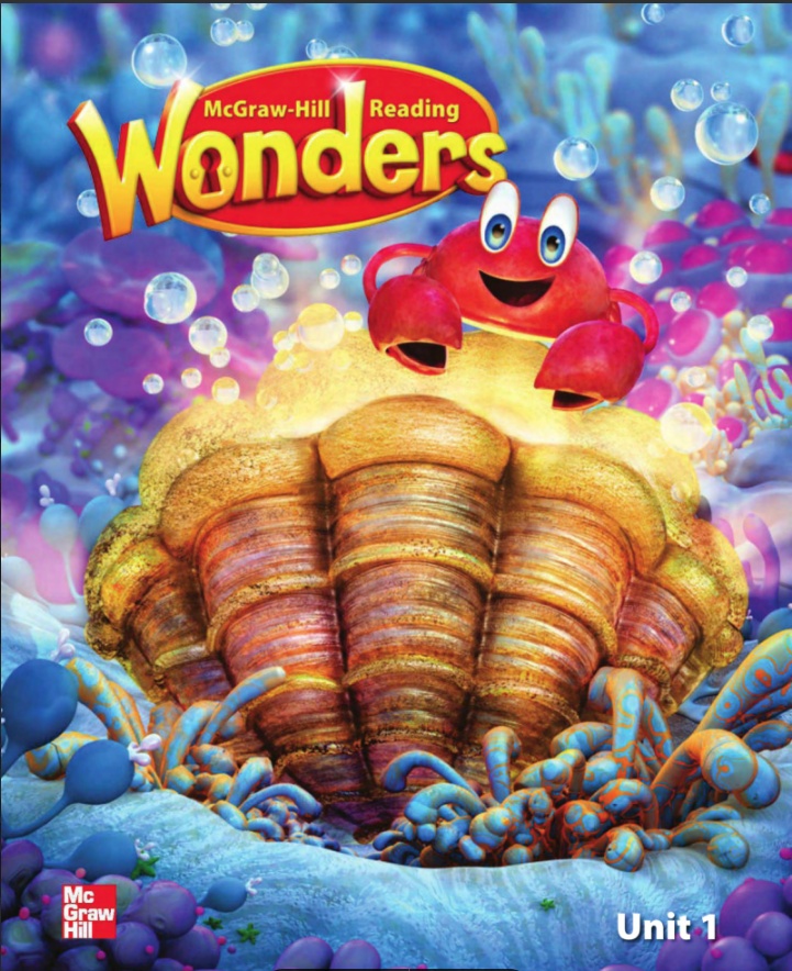 Wonders