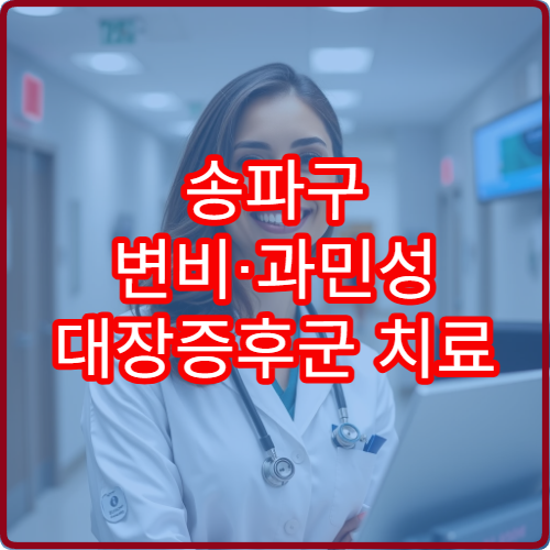 송파구 변비·과민성 대장증후군 치료 병원 선택 가이드