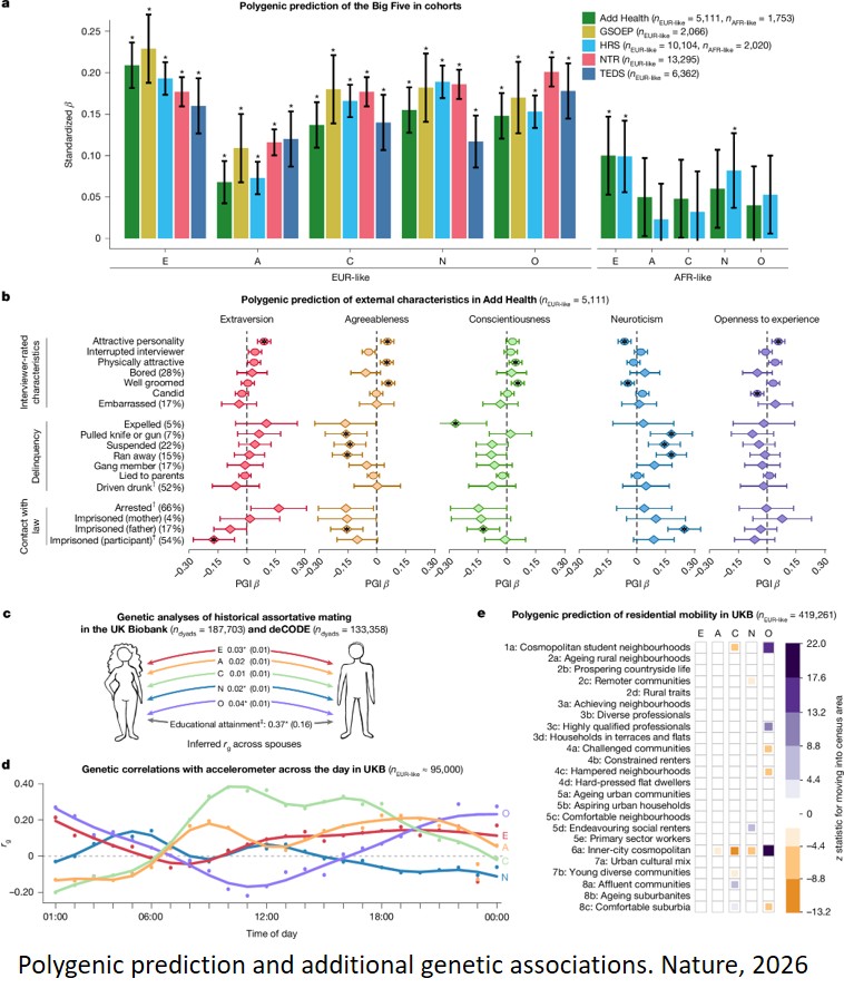 Robust inference and correlates from genetic associations with personality