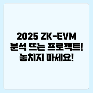 ZK-EVM, 2025년 ZK-EVM, ZK-EVM 프로젝트, 블록체인, 스마트 계약