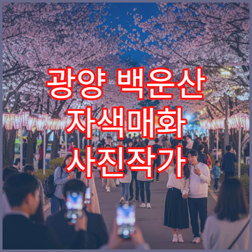 광양 백운산 자색매화 사진작가 추천 핑크빛 스팟 새벽 촬영 가이드