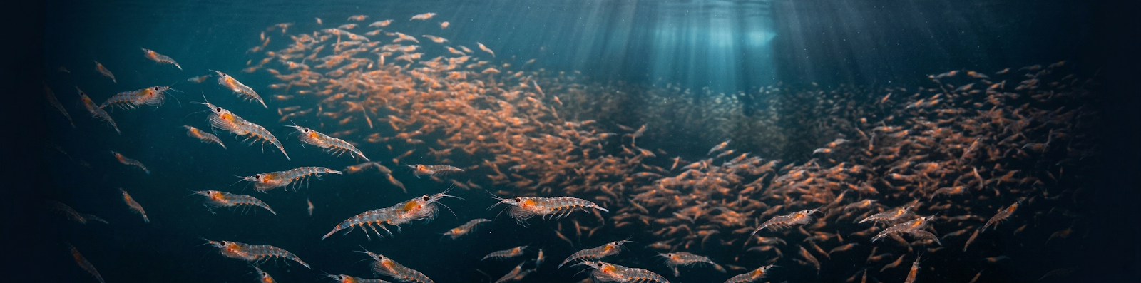 Aker BioMarine