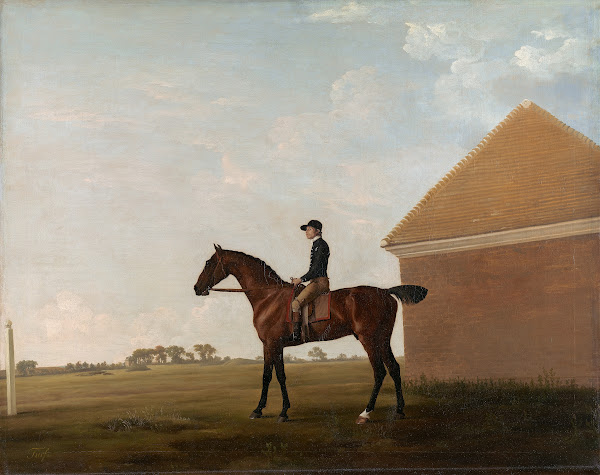 Turf with Jockey up at Newmarket ca 1766