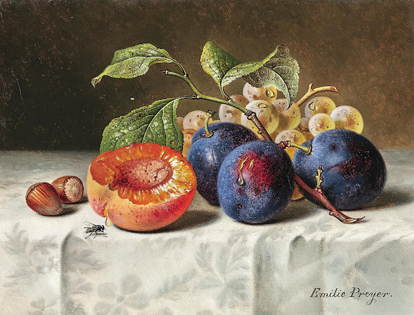 Still Life with Peaches Red Grapes Hazelnuts and a Wasp