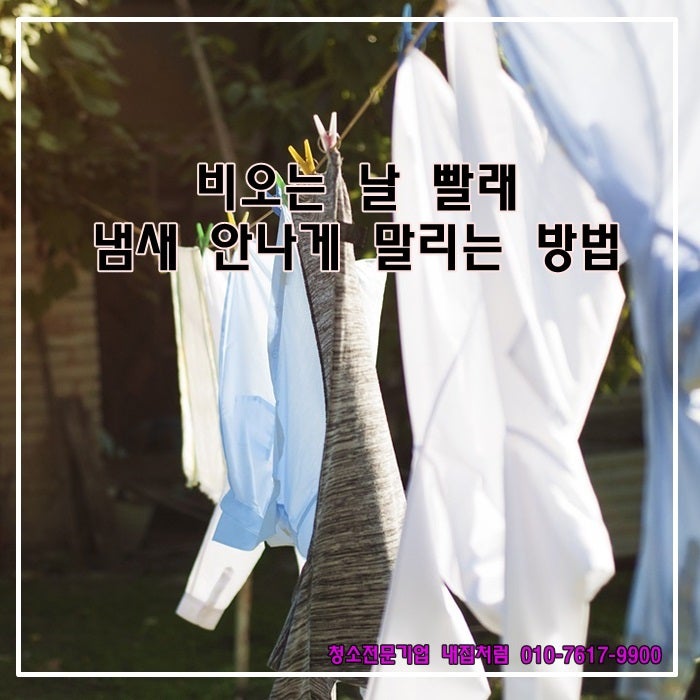 섹션 2 이미지