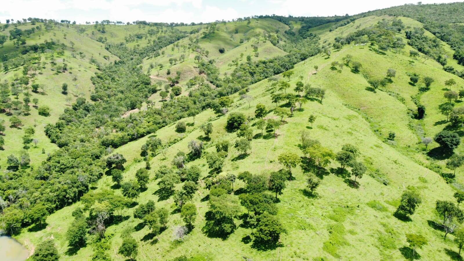 Fazenda no Município Corumbaíba - GO 4