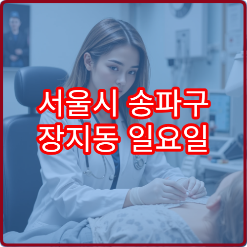 서울시 송파구 장지동 일요일 한의원 진료 주말 치료
