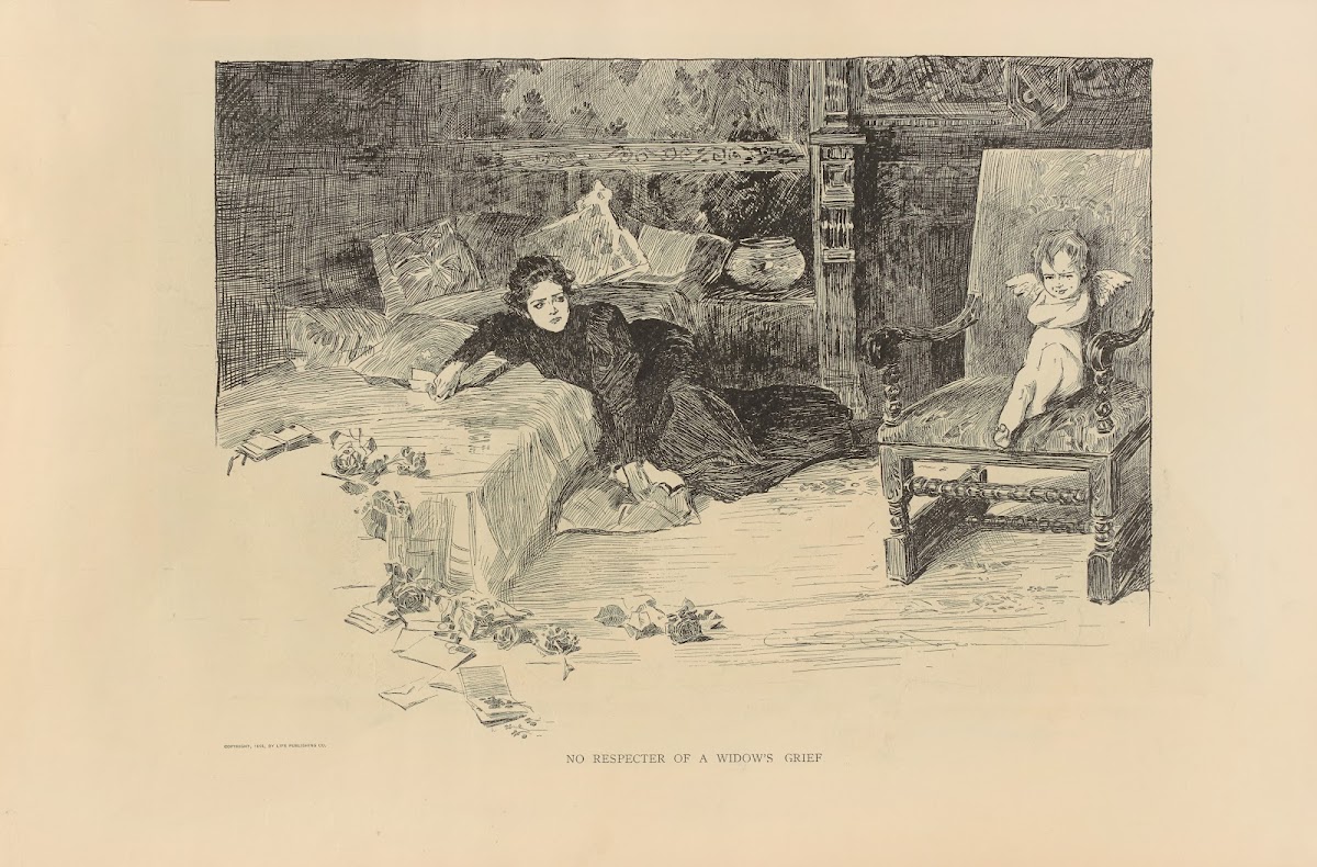 No respecter of a widows grief 1893 1900
