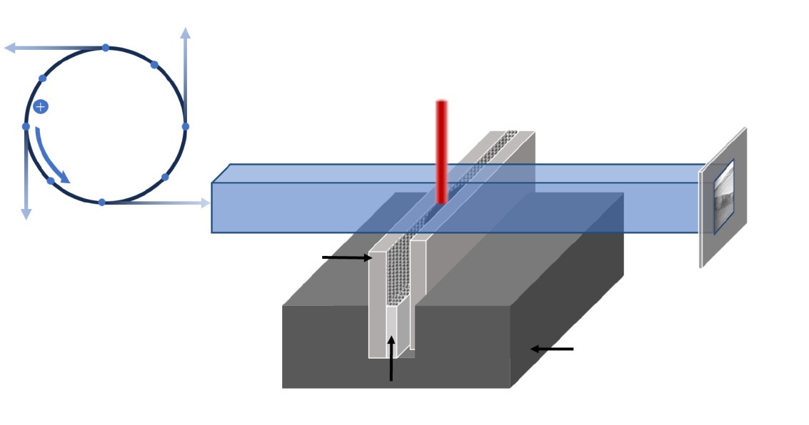 In-situ observation on bubble evolution during laser powder bed fusion of oxide ceramic