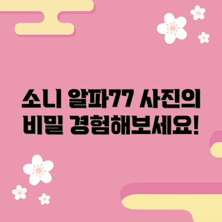 소니알파77 추천, 여행 사진 찍기, 2023 카메라 트렌드, 프로 사진 촬영, 봄 시즌 촬영 팁