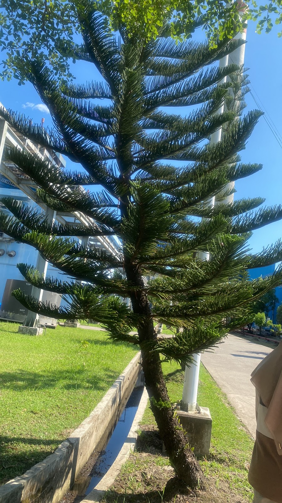 Galeri Foto Teluk Sirih