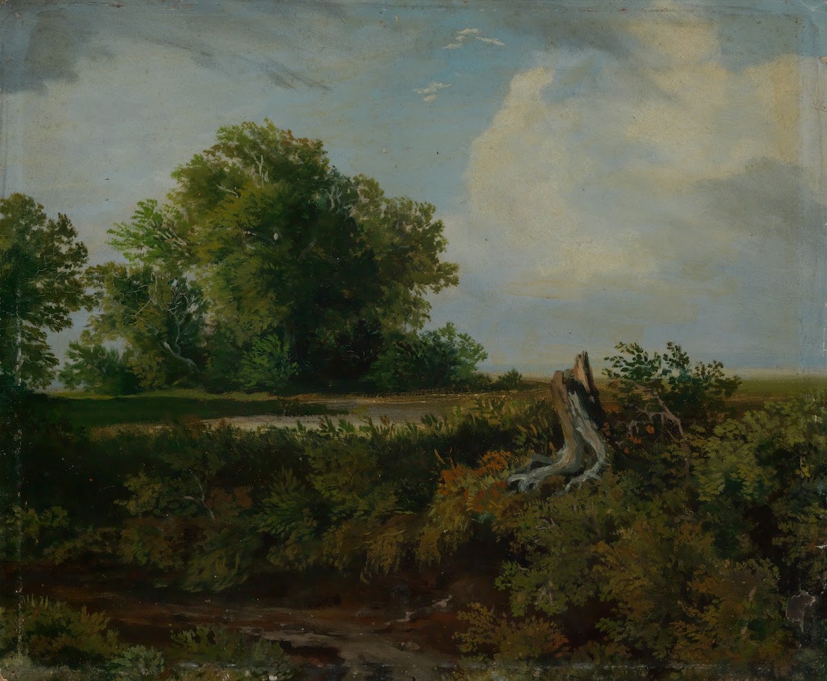 Baumstumpf am Wegrand ca 1890 1900