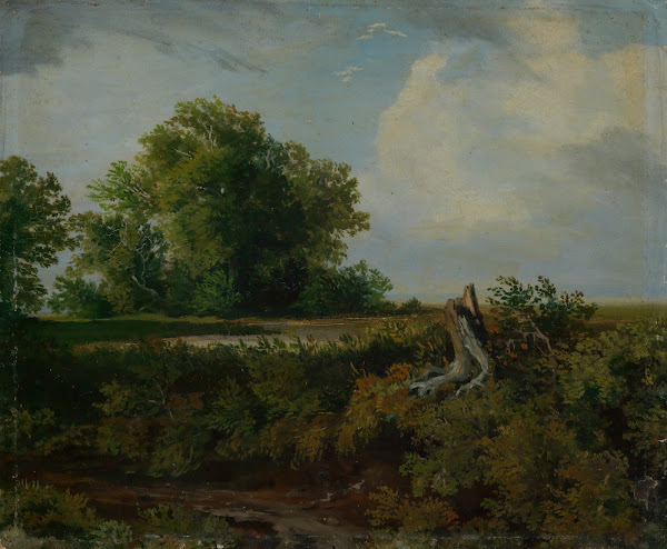 Baumstumpf am Wegrand ca 1890 1900