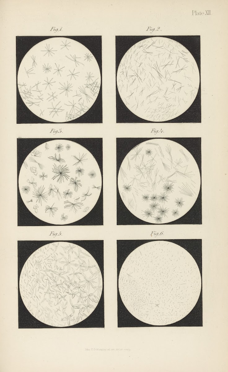 Micro Chemistry of Poisons Pl12 1885