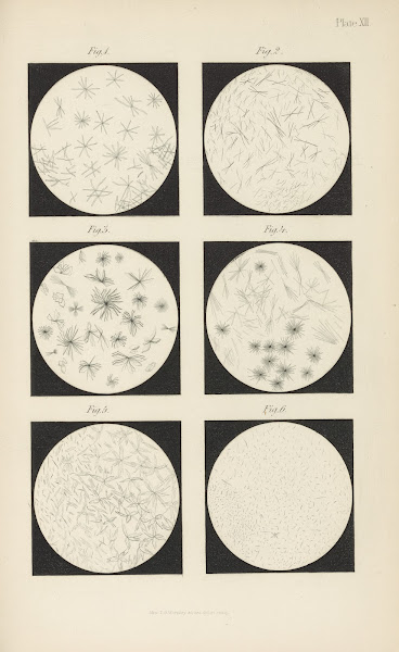 Micro Chemistry of Poisons Pl12 1885