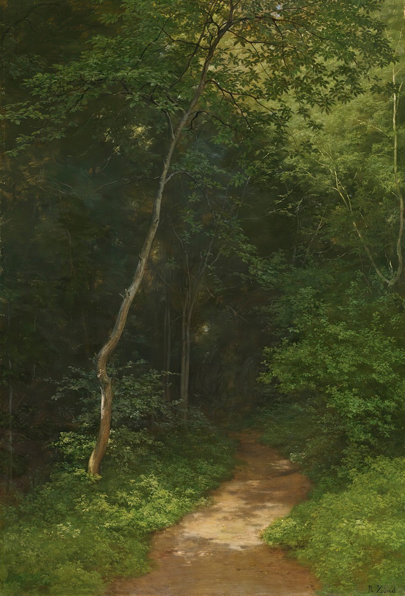 Waldweg Forest Track