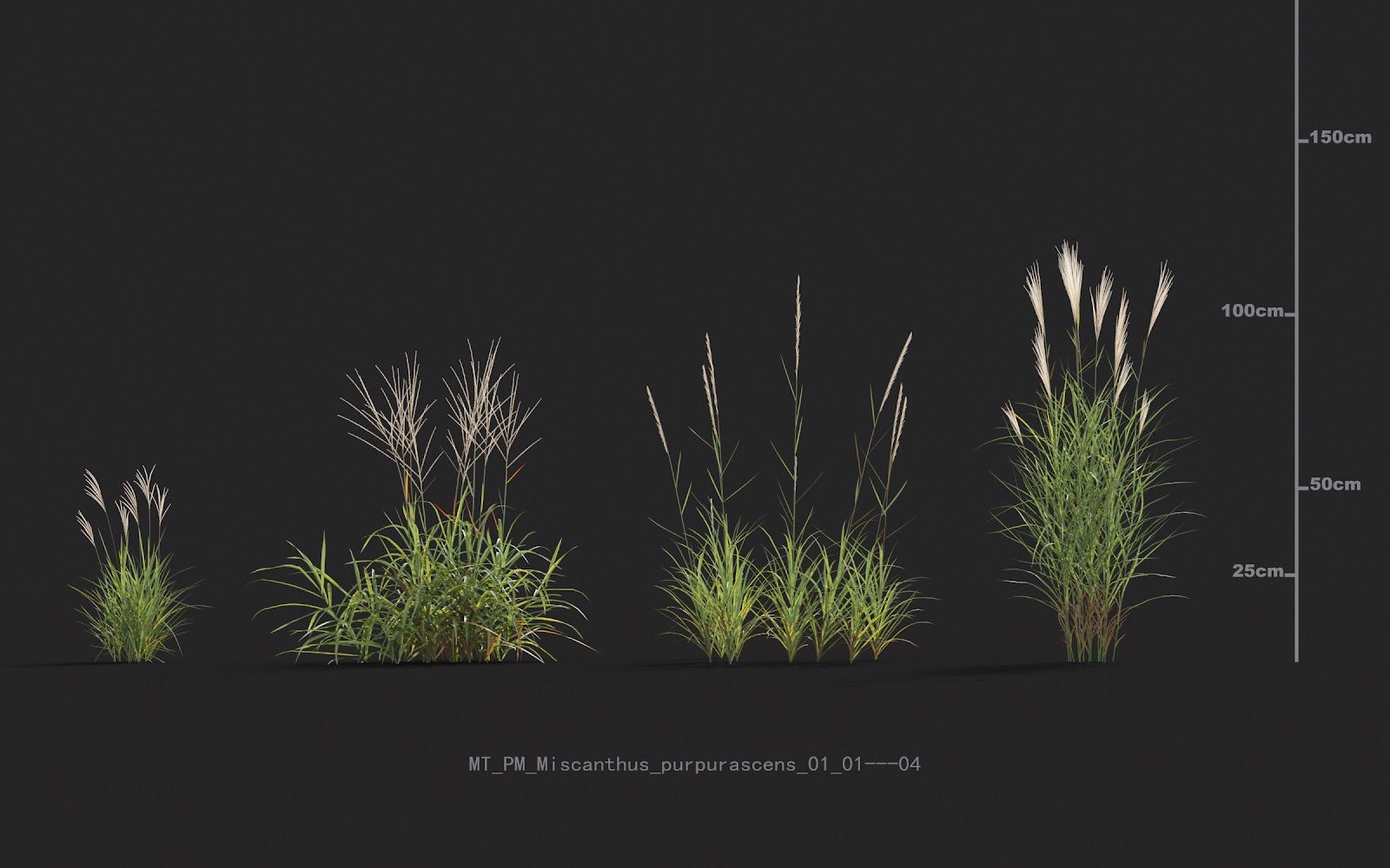 Maxtree - Plant Models Vol.20