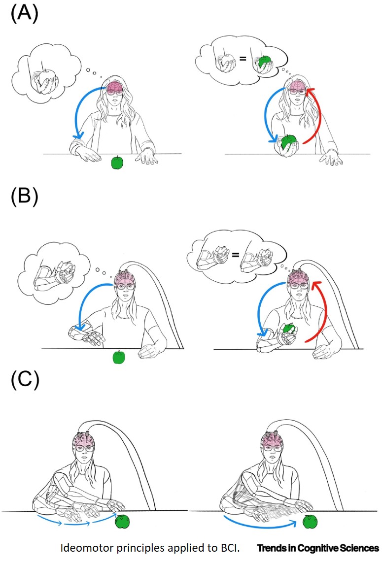 Moving intentions from brains to machines