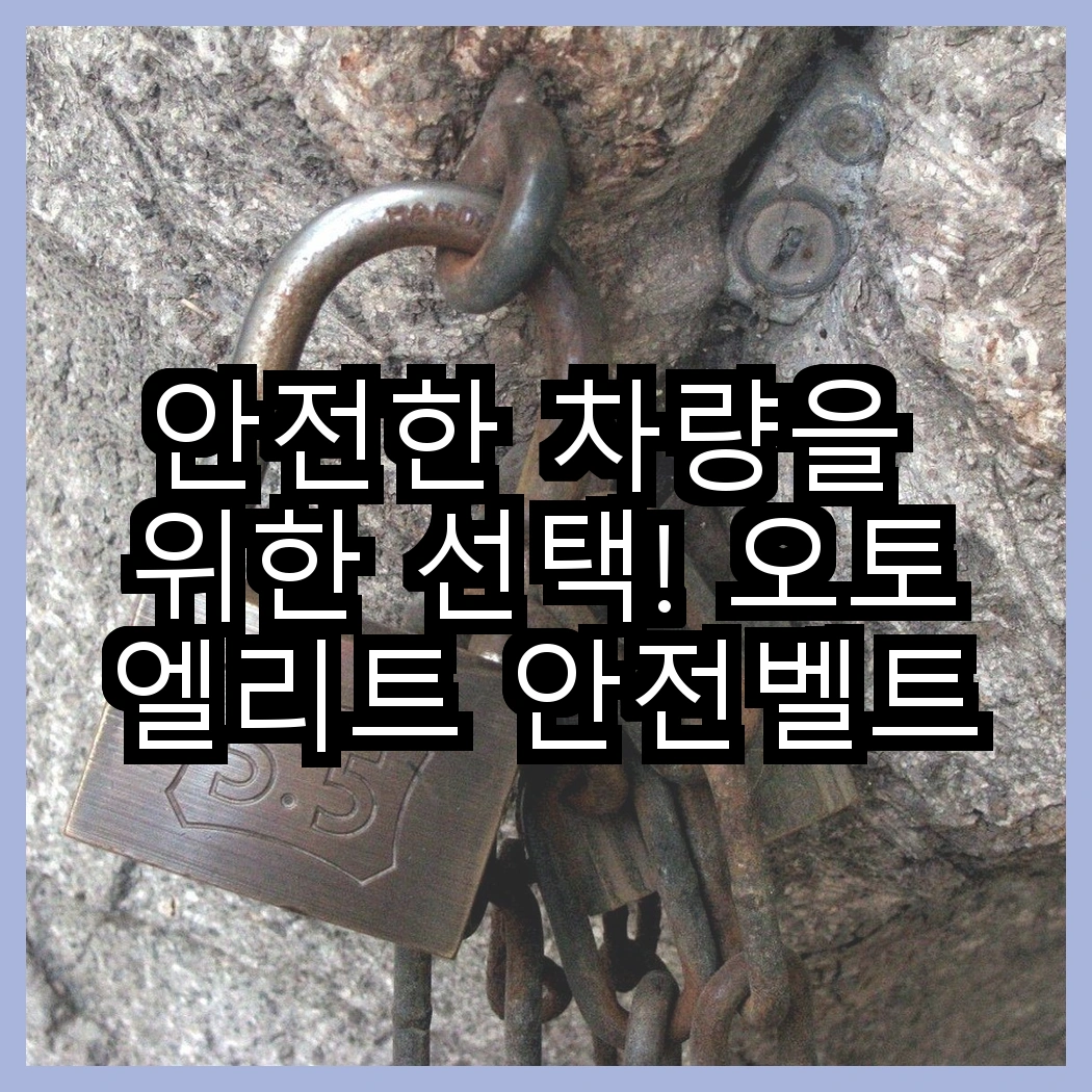 안전한 차량을 위한 선택! 오토엘리트 안전벨트클립 vs 일신 보수용 빠데, 어떤 제품이 필요할까? 썸네일