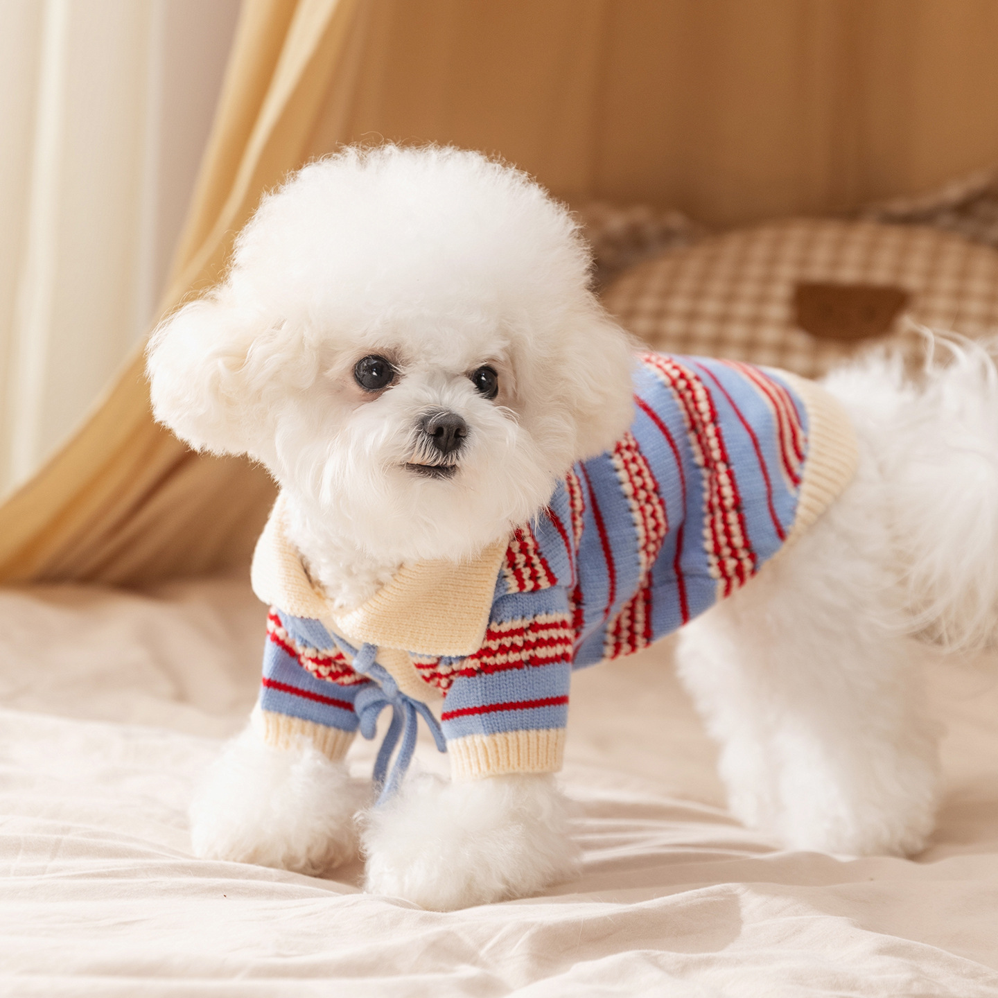 Striped knitted jacket for small dogs, autumn and winter