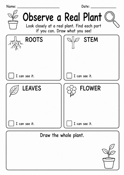 Observe a Real Plant