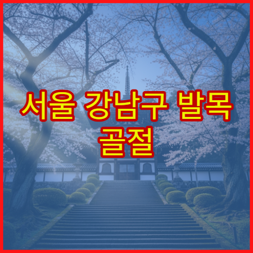 서울 강남구 발목 골절 인대 이상 증상 재활 치료 전문 병원