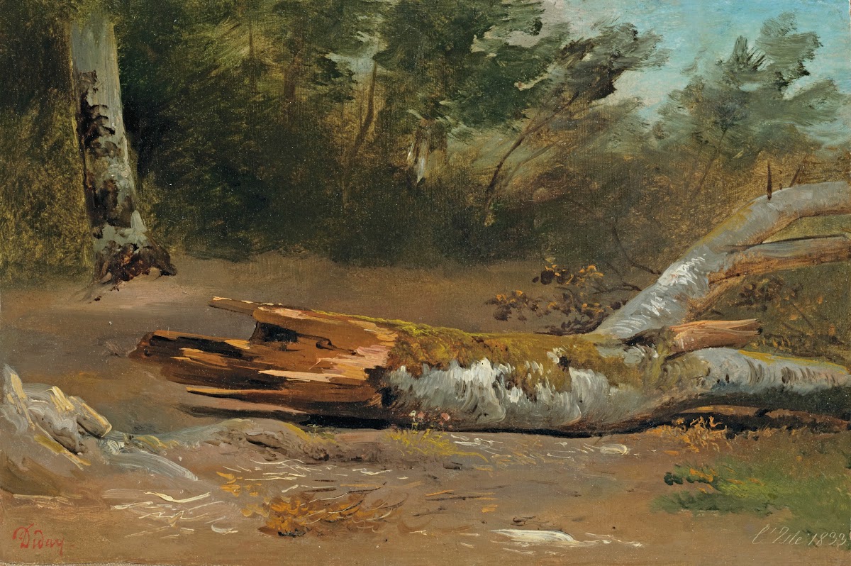 Forestwith Tree Trunk Ljsle 1833