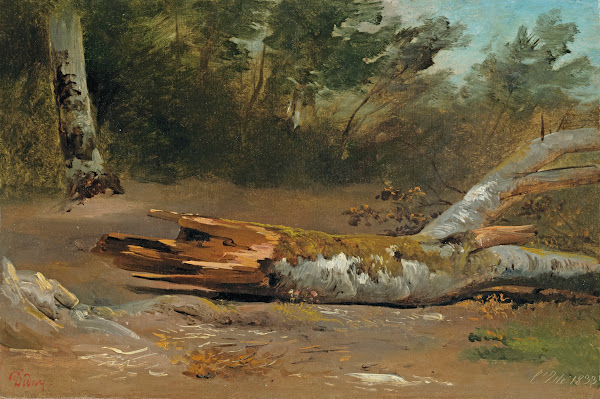 Forestwith Tree Trunk Ljsle 1833