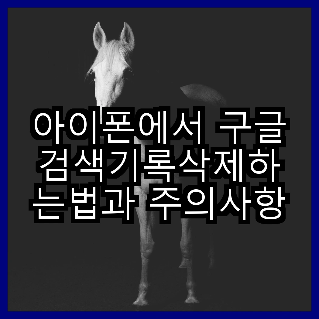 아이폰에서 구글검색기록삭제하는법과 주의사항 썸네일