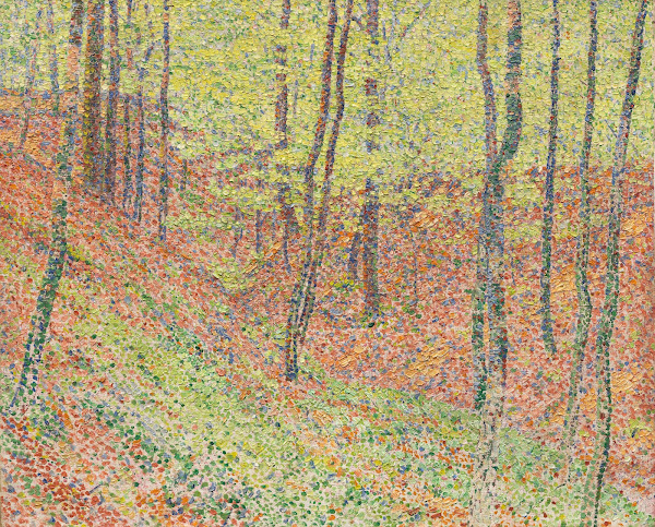 Wald 1903