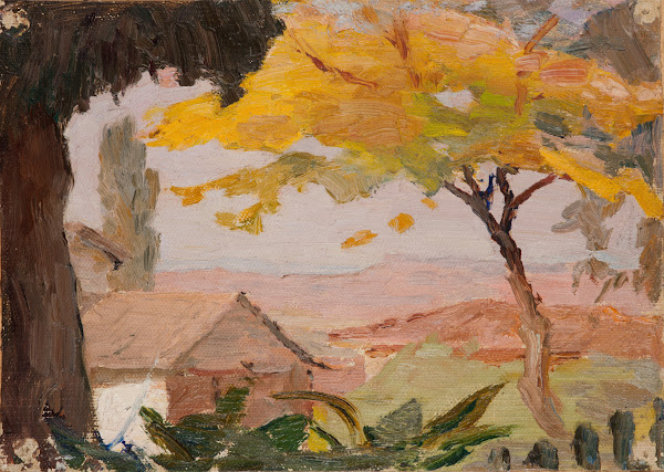 Bursa A View 1910