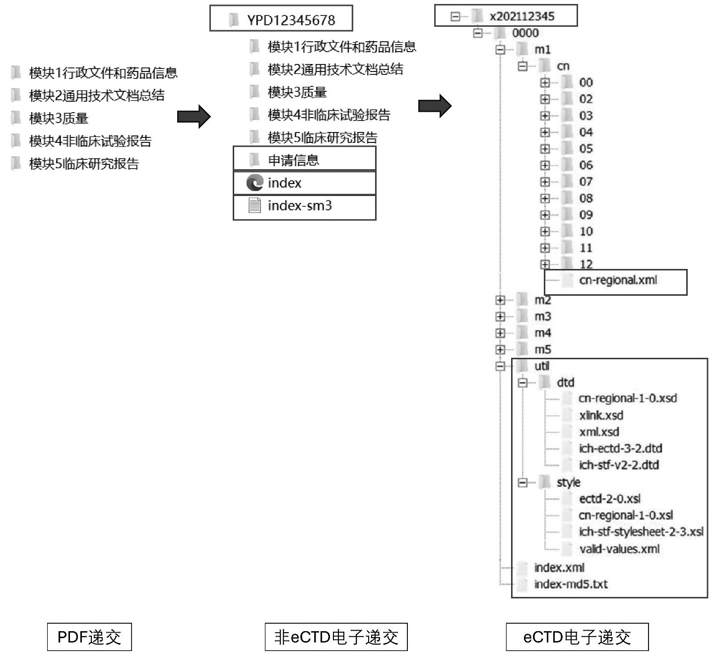 Drug Repurposing and Its Application in the Context of the Current Drug Regulatory Framework