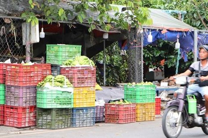 Lòng lề đường bị chiếm trọn ở hai tuyến đường quan trọng phía Tây TPHCM - Báo Người Lao Động