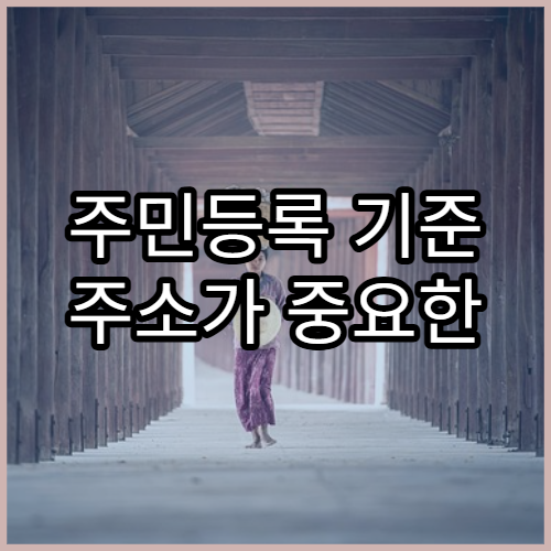 주민등록 기준 주소가 중요한 행정 서비스 사례 정리