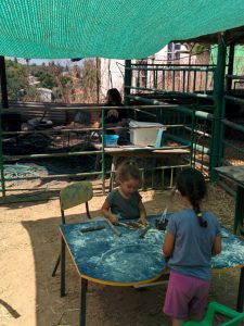 2016-08-26 11.41.55-2