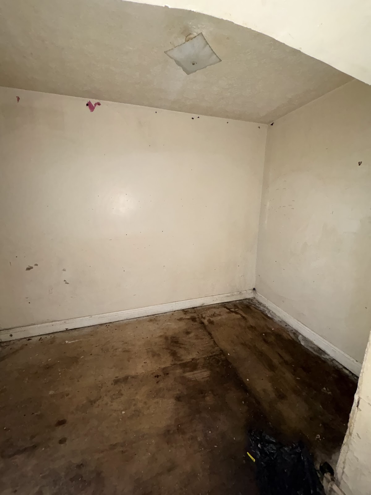 Copy of IMG_8180.HEIC