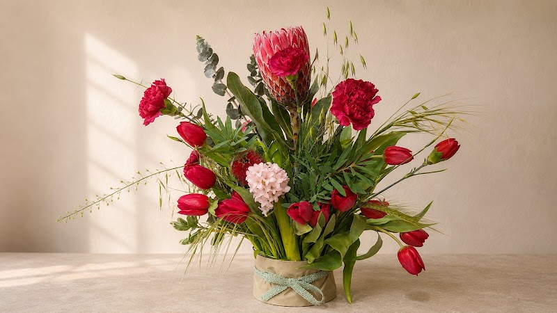 Red Tulip Protea