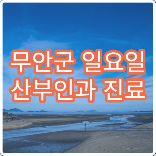 무안군 일요일 산부인과 진료 병원 – 생리통, 임신·출산 관련 응급 진료 가능 병원