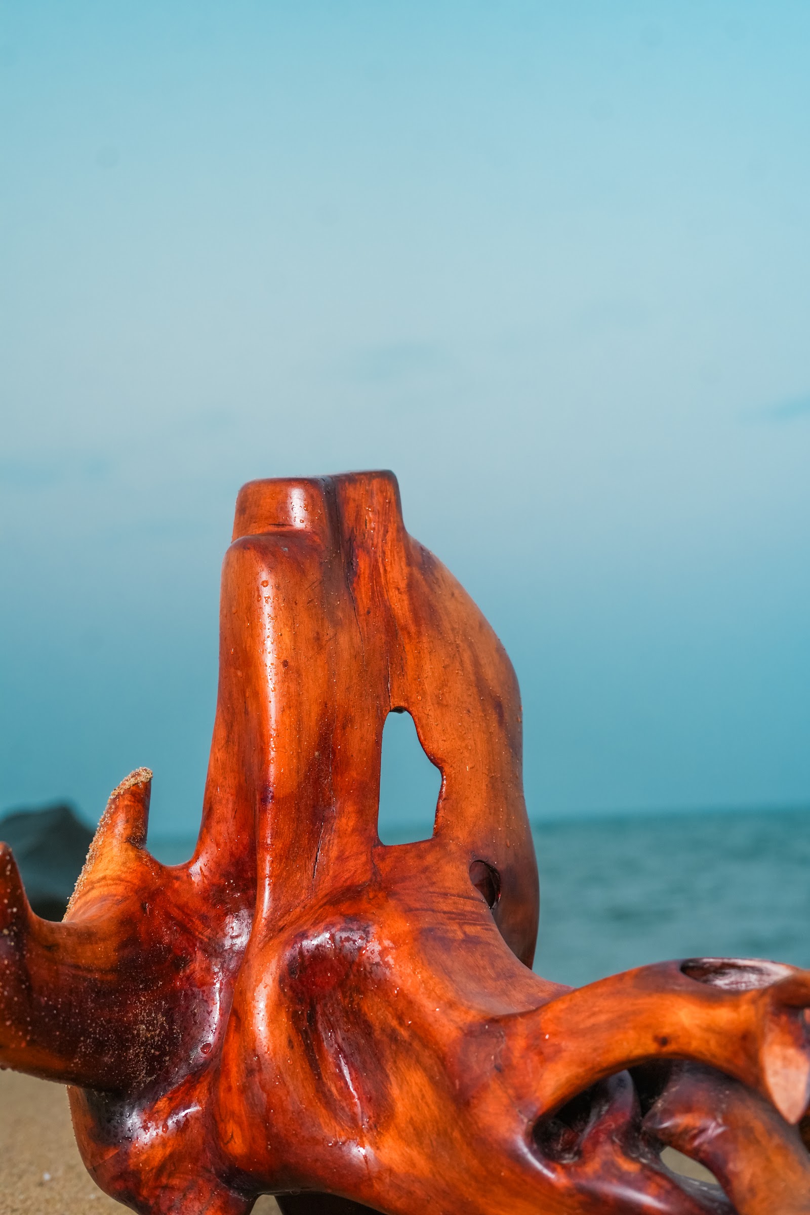 Rosewood Neck, studio view 6