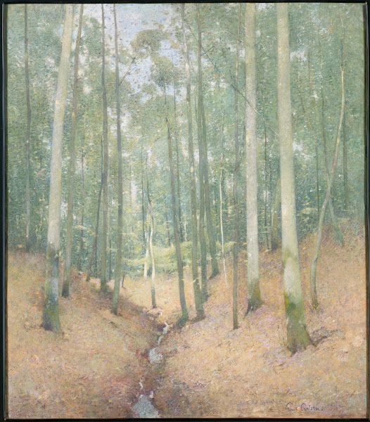 Wood Interior c 1910