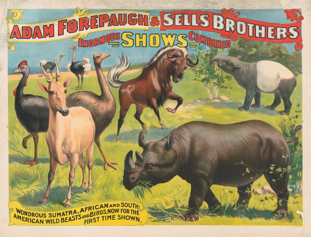 Adam Forepaugh  Sells Brothers enormous shows combined Wondrous Sumatra African