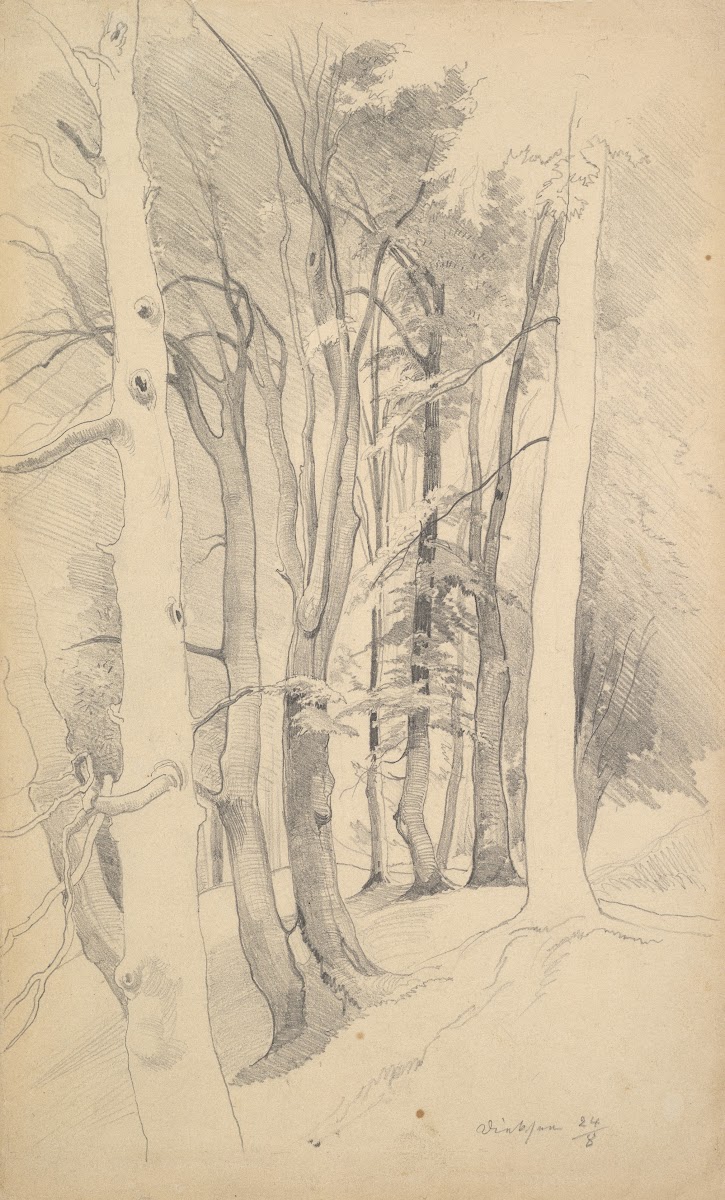 Trees near Diessen mid 19thearly 20th century