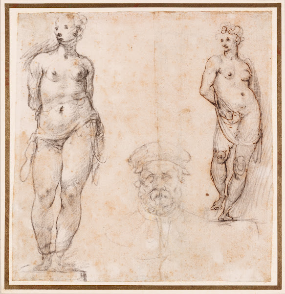 Studies of a Nude Female Statue Venus and Head of a Mature Bearded Man 16th 17th
