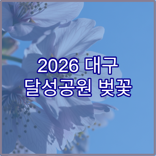 2026 대구 달성공원 벚꽃 야경 드론 촬영 허용 구역과 규정 주의사항