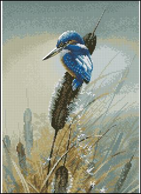 CMP 360050 Little Fisher