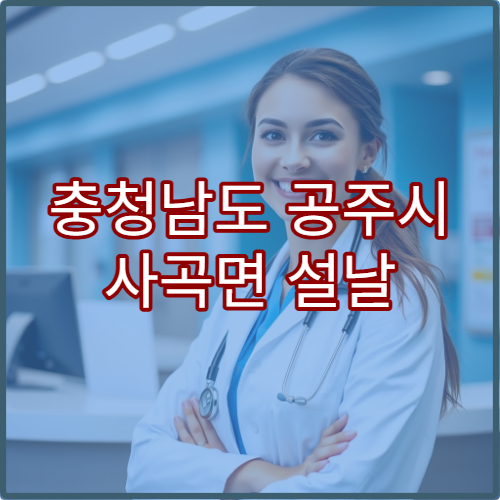 충청남도 공주시 사곡면 설날 명절 연휴 당번약국 영업시간 안내